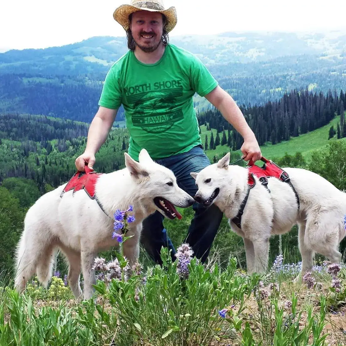 EyeOnTheBet creator with dogs Fergus and Finn